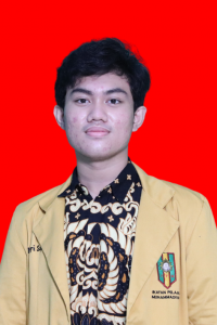 Muhammad Labib Royhan Hadi photo